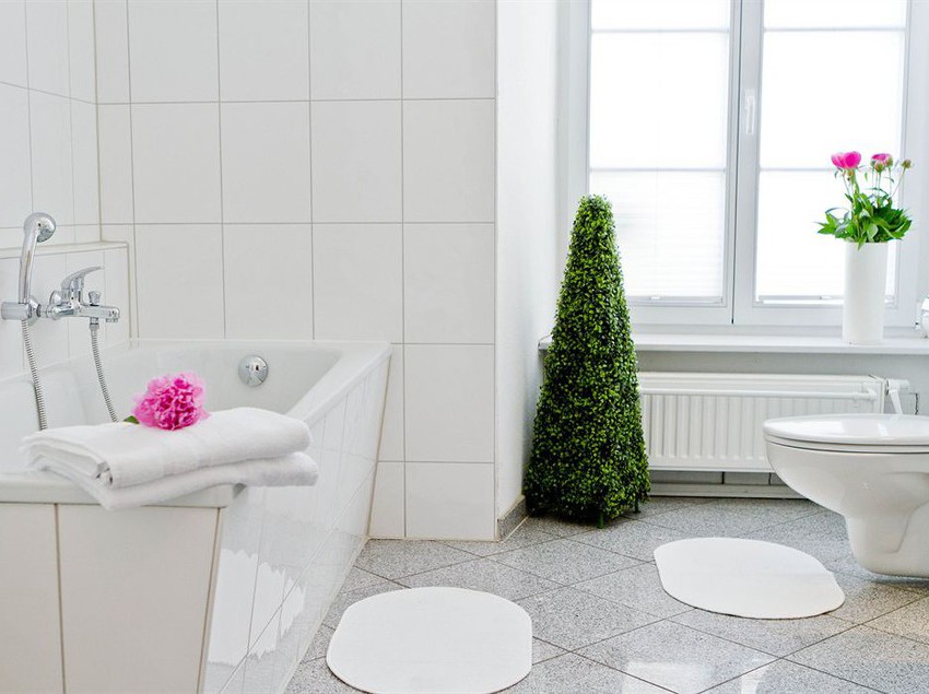 Hotel Zum Goldenen Löwen 9