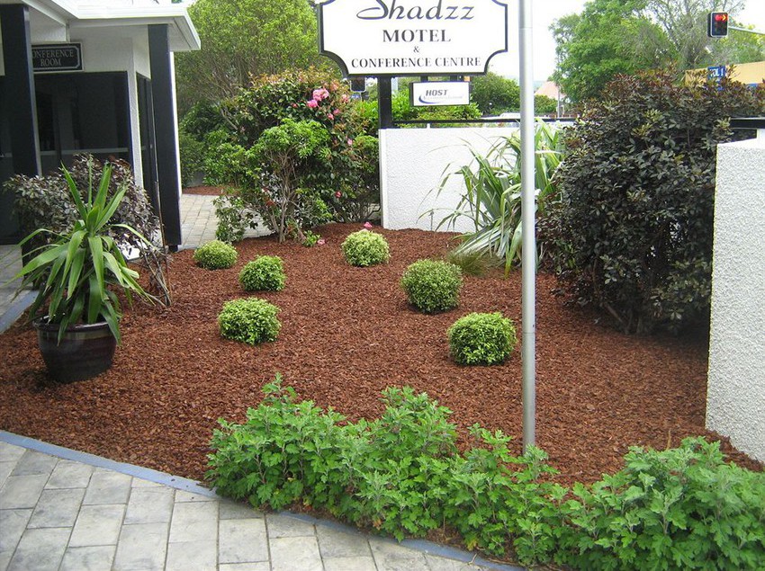 Shadzz Motel & Conference Centre Isla Norte