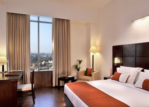 Hotel Comfort Inn Tulip Heights 5