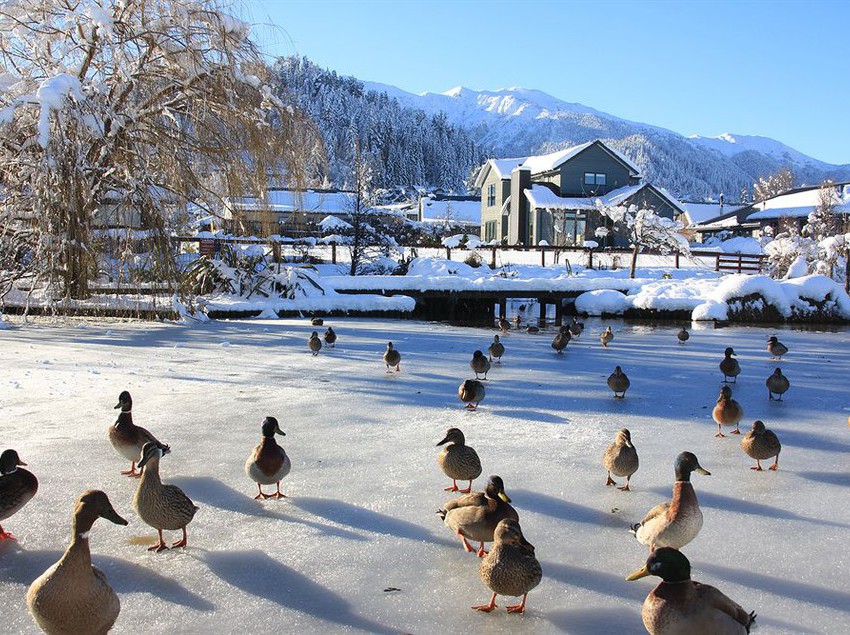 Hotel The St James Hanmer Springs