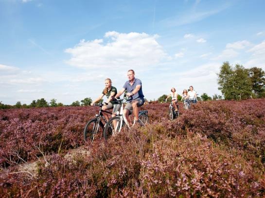 Heidehotel Bockelmann 15