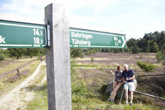 Heidehotel Bockelmann 4