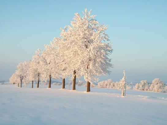 Rathaus Hotel Jöhstadt 12