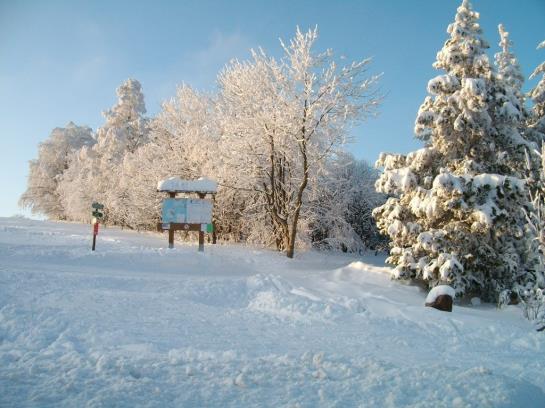 Rathaus Hotel Jöhstadt 7
