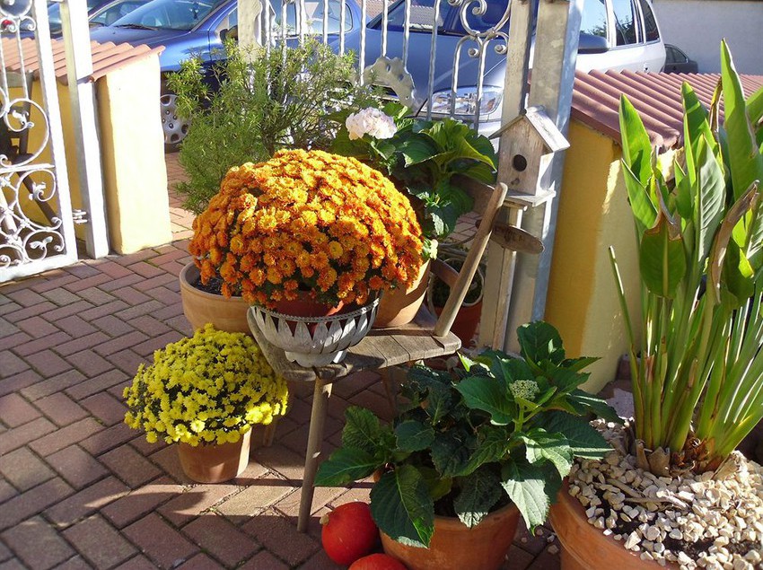 Hotel Im Ziegelweg 2