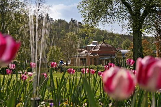 Badhotel Bad Brückenau 1