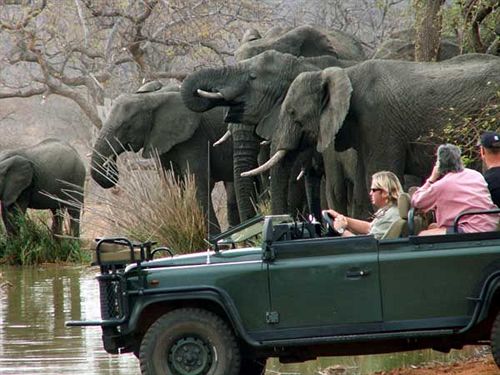 Mohlabetsi Safari Lodge Hoedspruit