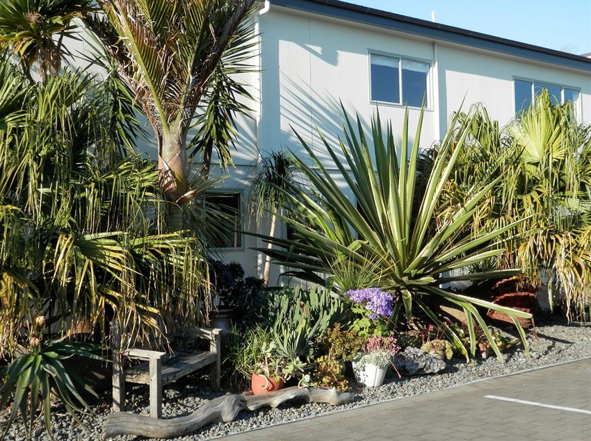 Motel Asure Alfresco Motor Lodge Gisborne