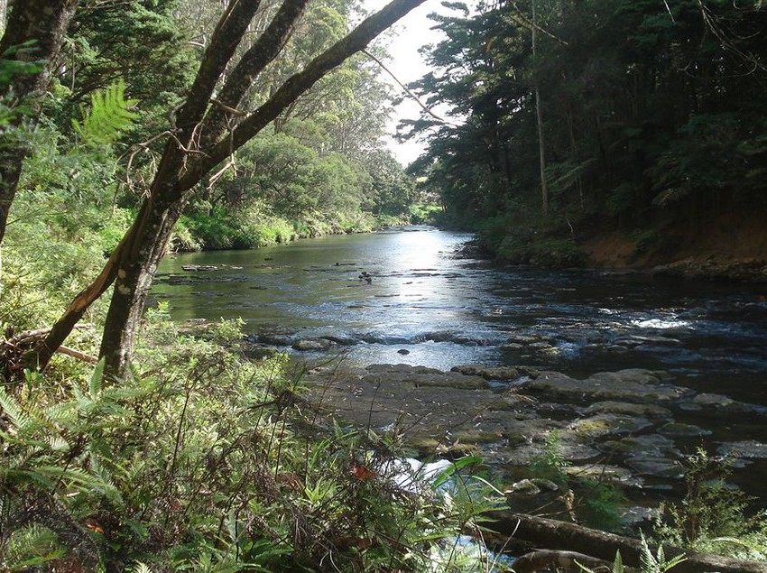 Woodlands Motel & Conference Venue 14