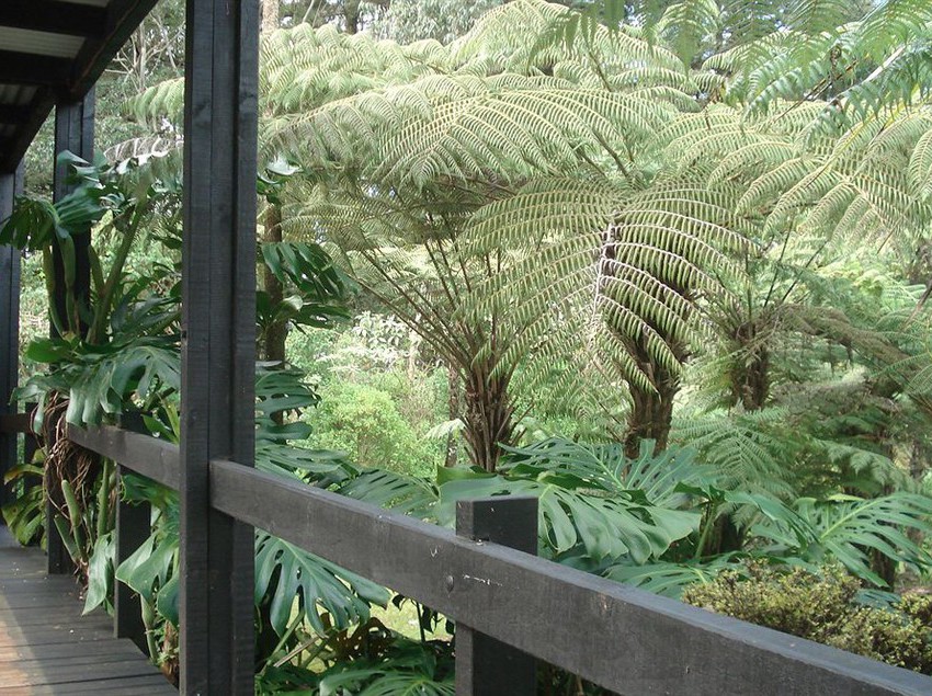 Woodlands Motel & Conference Venue 18