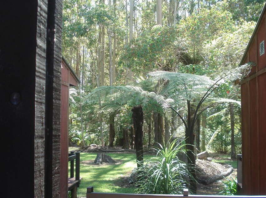 Woodlands Motel & Conference Venue 4