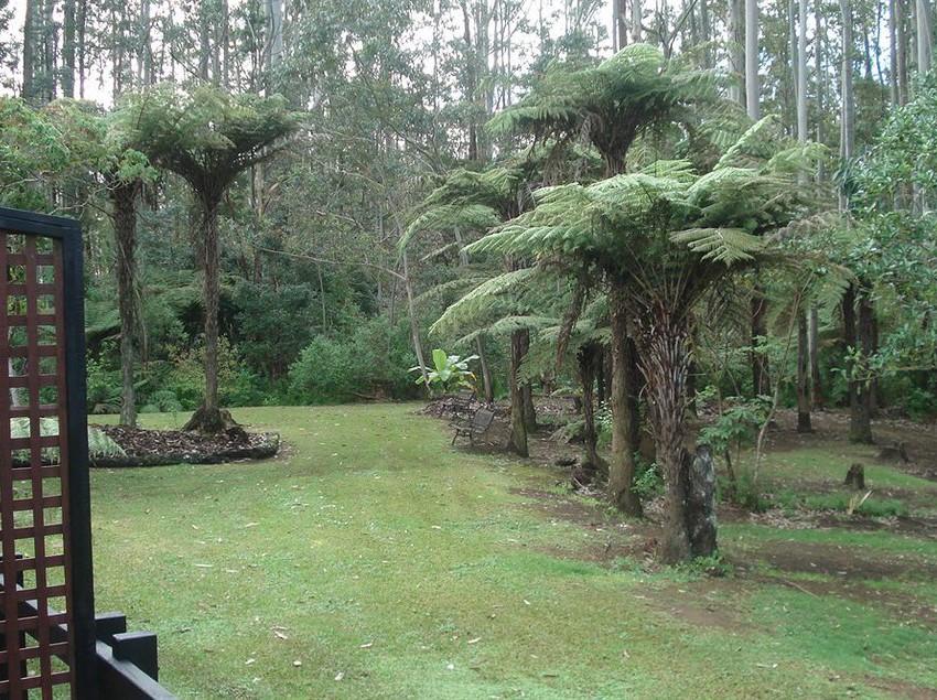 Woodlands Motel & Conference Venue 5