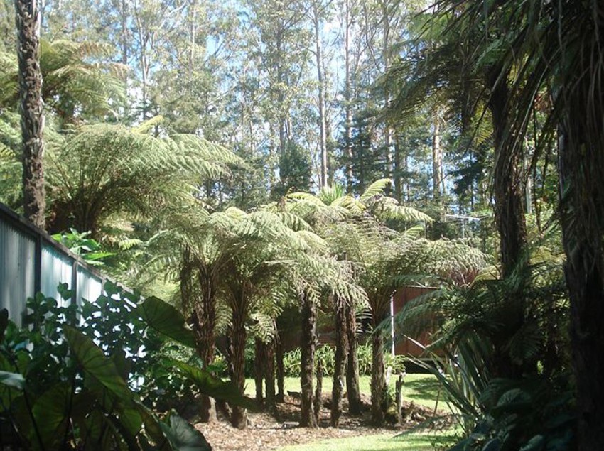 Woodlands Motel & Conference Venue 7