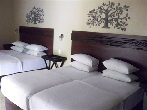 Hotel Nomndeni Celokuhle 8