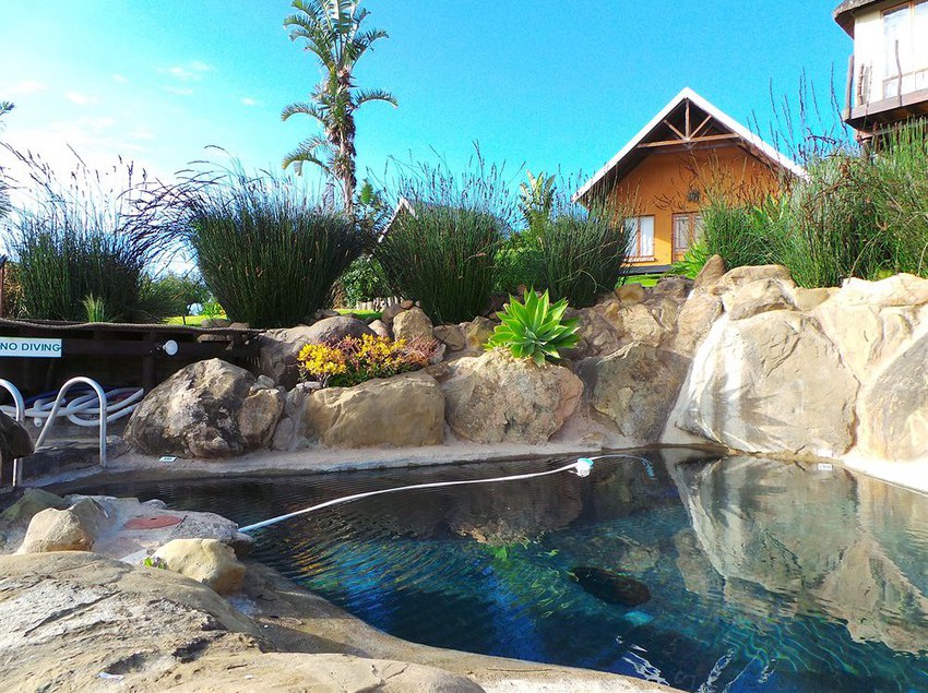 Pension Addo Dung Beetle Guest Farm 11