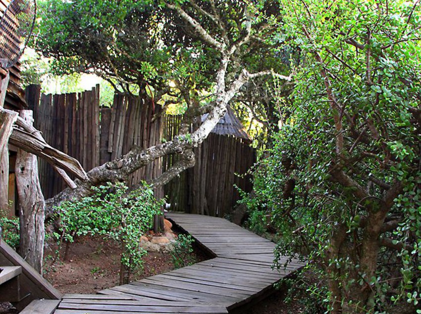 Pension Addo Dung Beetle Guest Farm 4