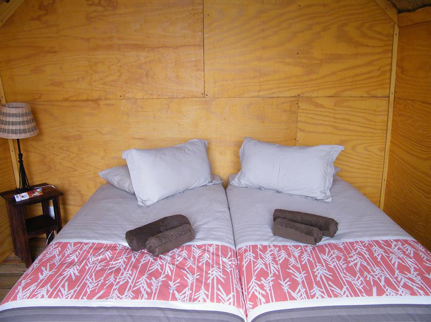 Pension Addo Dung Beetle Guest Farm 6