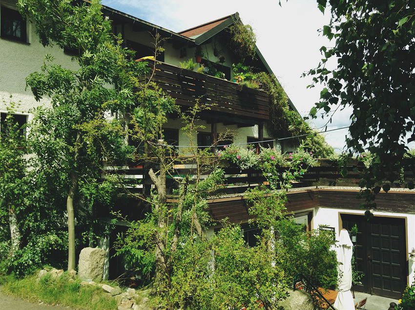 Schmankerl - Hotel Bauer 1