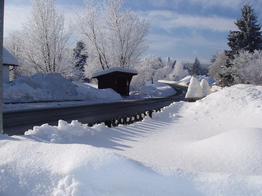 Schmankerl - Hotel Bauer 11