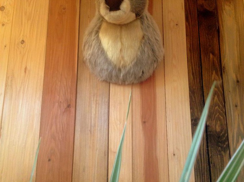 Schmankerl - Hotel Bauer 12