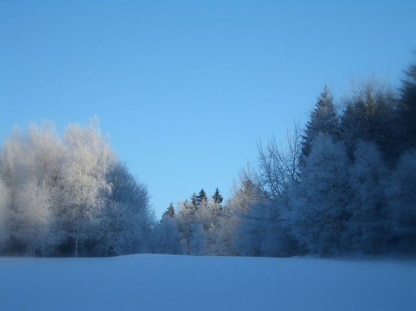 Schmankerl - Hotel Bauer 15