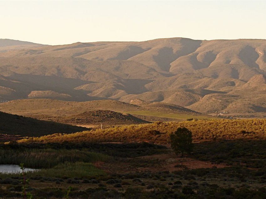 Hotel Galenia Estate 10