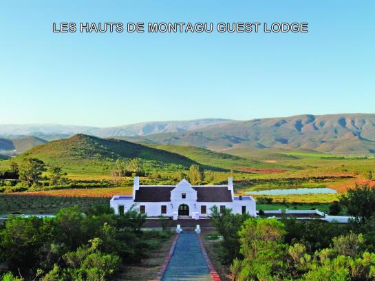 Hotel Galenia Estate 15