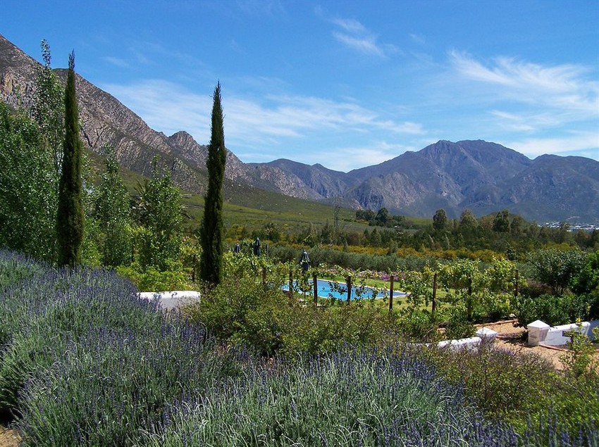 Hotel Galenia Estate 2