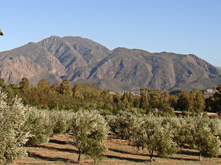 Hotel Galenia Estate 3