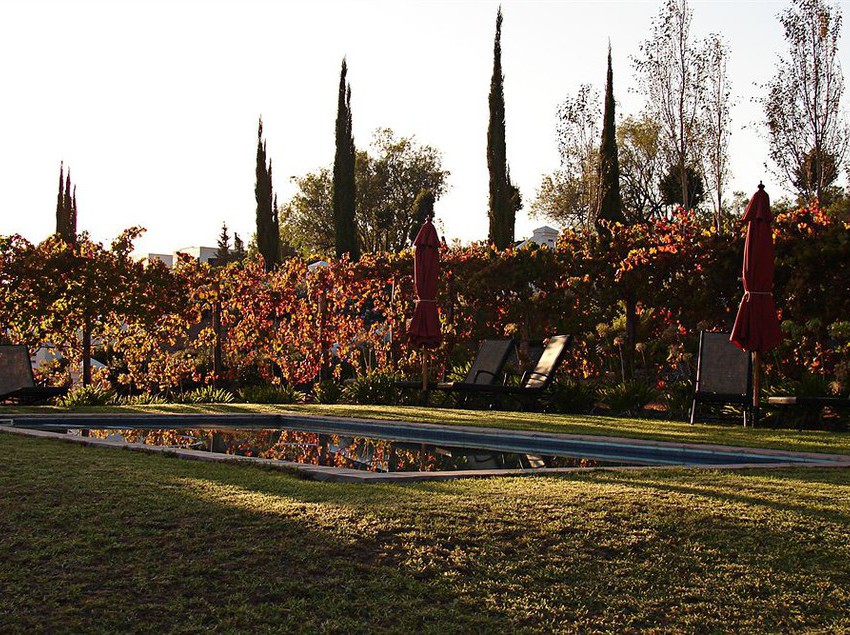 Hotel Galenia Estate 5