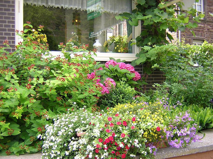 Hotel Zur Winzergenossenschaft 1