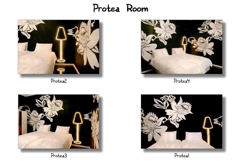 Hotel Daddy Long Legs 12