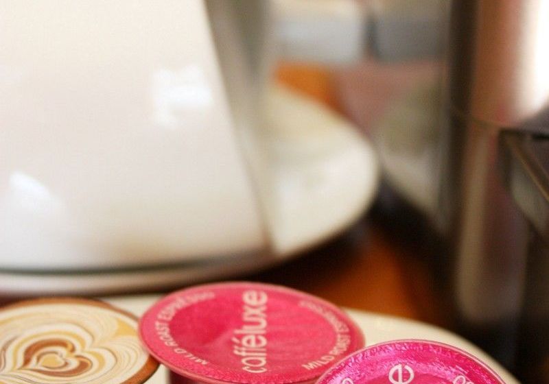 Hotel Daddy Long Legs 16