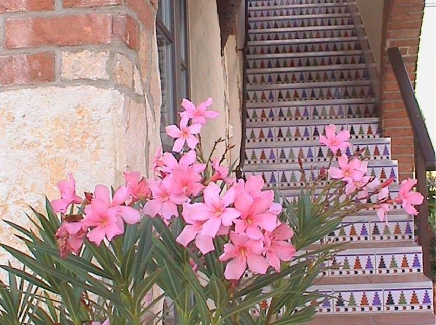 Romantiklandhaus Hazienda 1