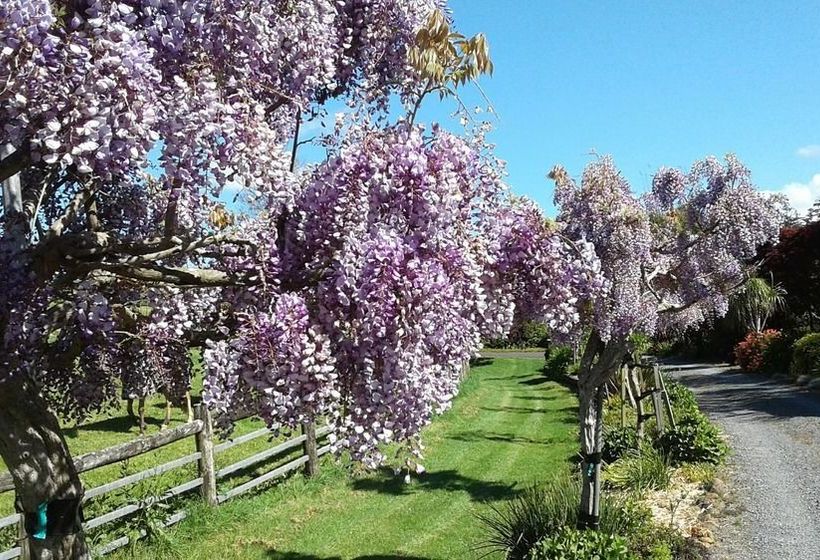 Hotel The Georgian Lodge 8