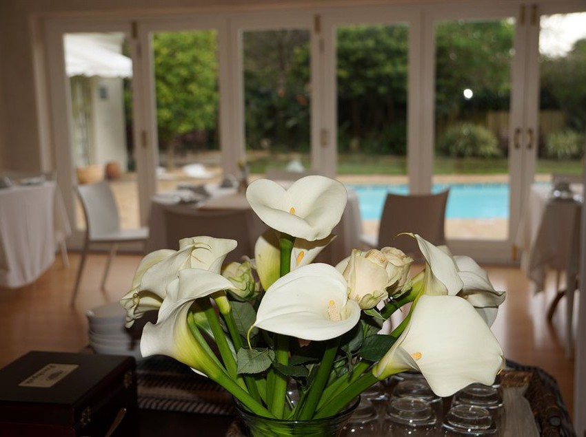 Pension Wild Olive Guest House 19