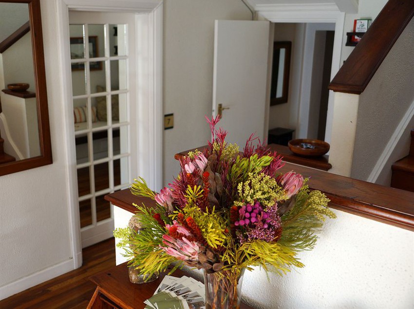 Pension Wild Olive Guest House 2