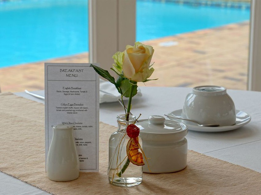 Pension Wild Olive Guest House 20