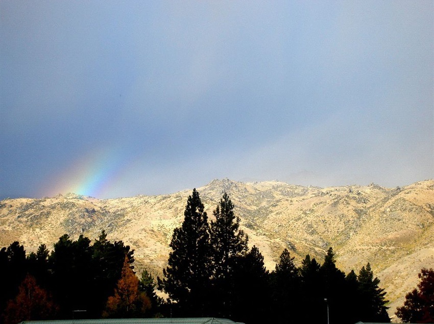 Central Gold Motel Cromwell 6