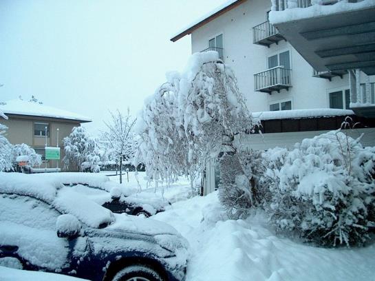 Zum Fährmann - Hotel Am Hochrhein 1