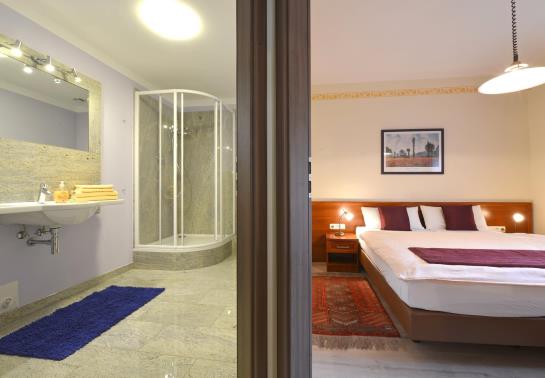 Hotel Schwarzes Ross 17