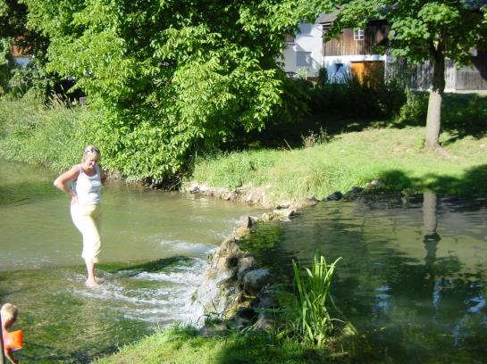 Pension Zum Bräu 15