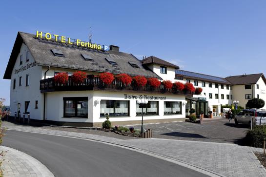 Hotel Airport-fortuna-am Flughafen Hahn 15