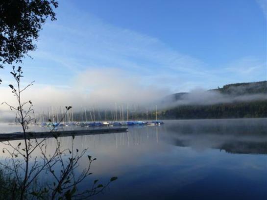 Wellnesshotel Auerhahn 20