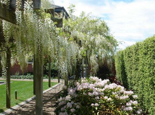 Hotel Sarnia Park Boutique Lodge 15