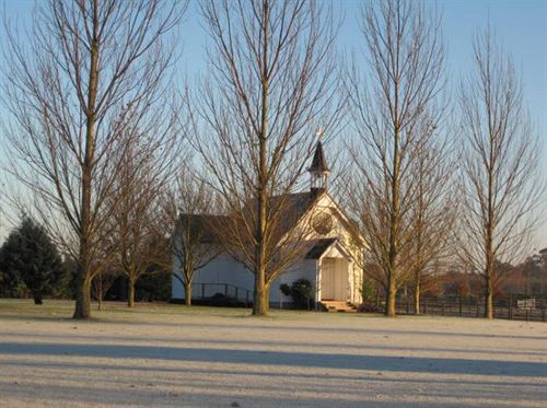 Hotel Sarnia Park Boutique Lodge 17