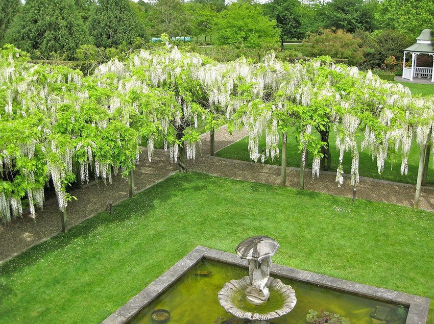 Hotel Sarnia Park Boutique Lodge 2