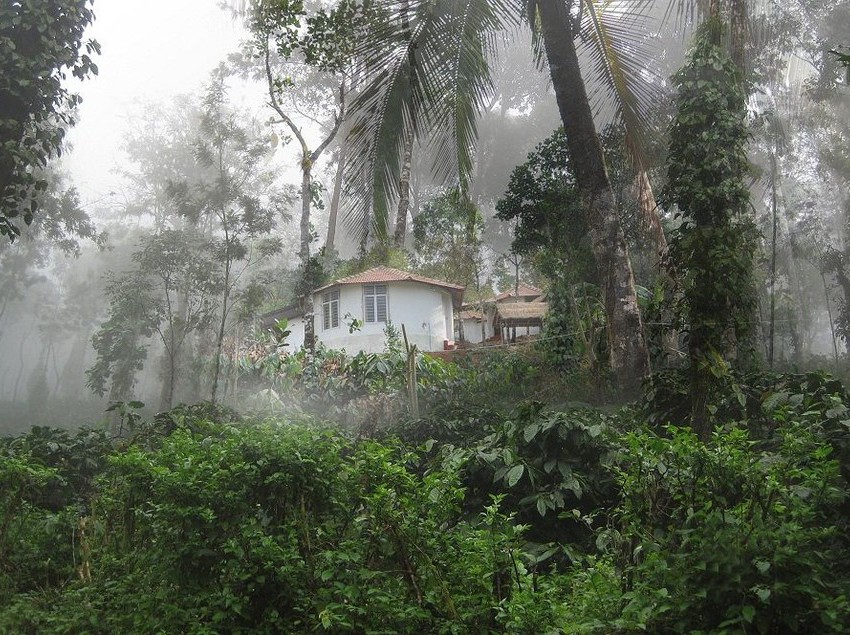 Hotel Yedamakky Cottage Karnataka