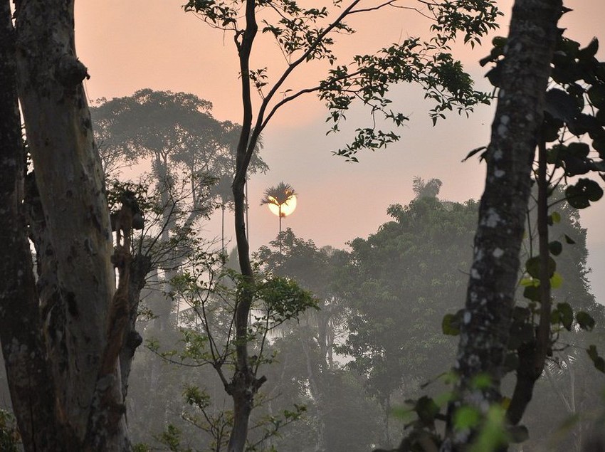 Hotel Yedamakky Cottage 1