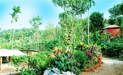 Hotel Yedamakky Cottage 17